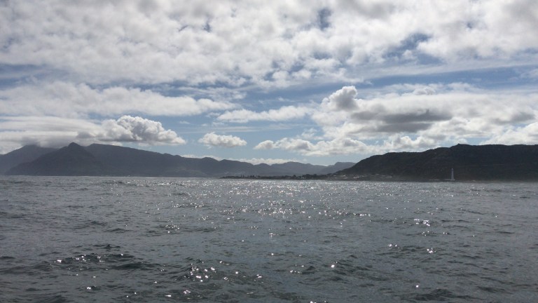 0EA78365-1B26-4265-82F0-EE4B7606B457