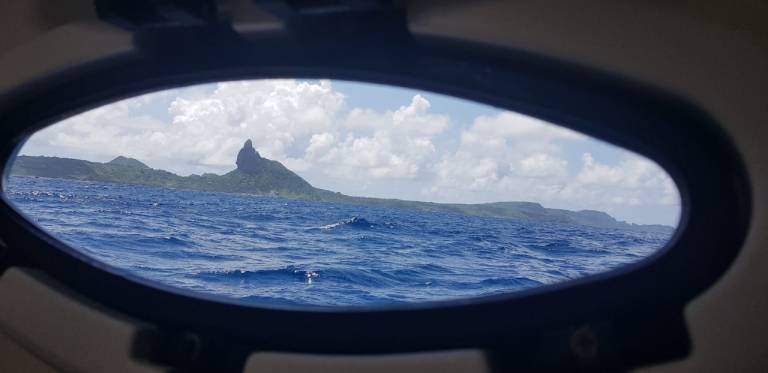 e53ed13b-84ee-42ce-8c15-0b6db105094f